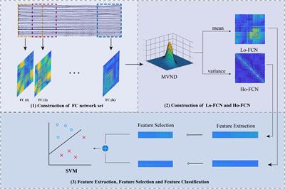 Identifying depression disorder using multi-view high-order brain function network derived from electroencephalography signal